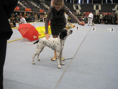 IMG 5188_Medium